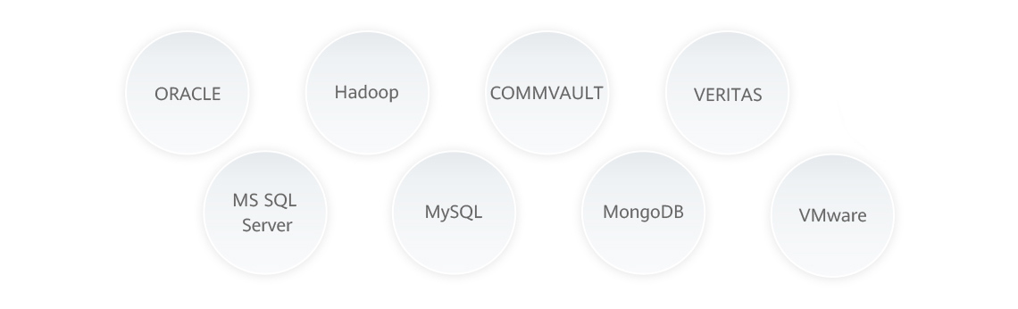 A graphic to show which backup software ecosystems are compatible with Huawei OceanStor Backup Storage